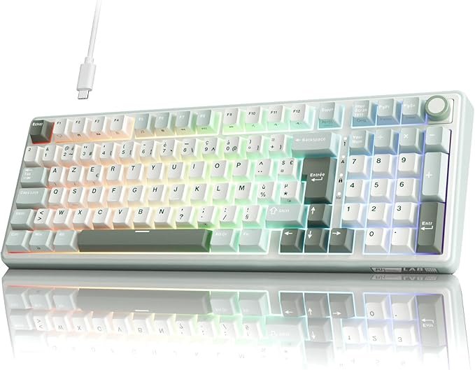 RK ROYAL KLUDGE R98 Pro Clavier Gamer 96% Filaire Mécanique AZERTY, RVB avec Pavé Numérique, Molette de Volume, Gasket Mount, Touches Profil OEM en PBT, Hot-Swap, Switch Tactile Beige Pré-lubrifié