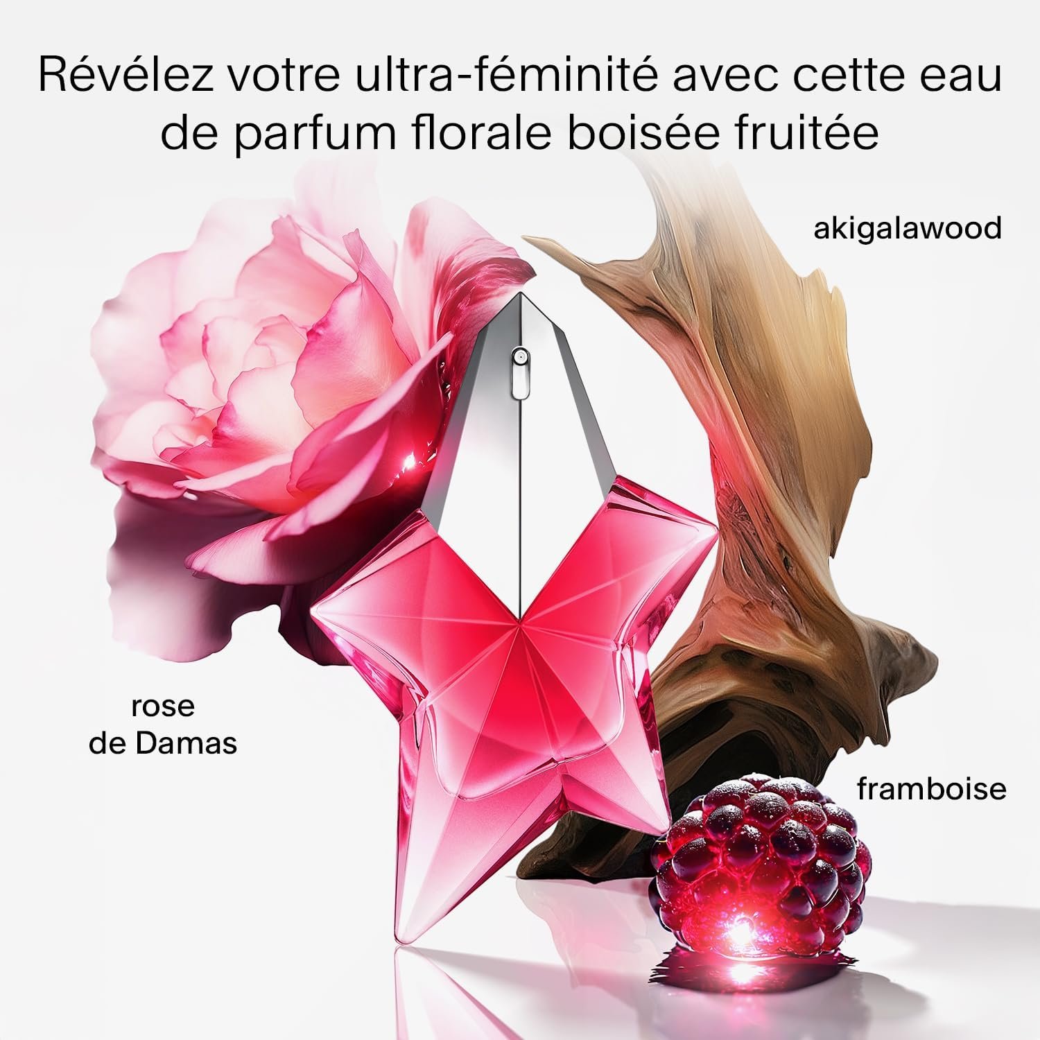 Galerie — image 2