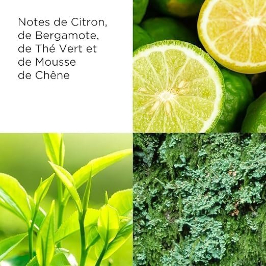 Galerie — image 4