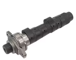 Arbre à cames 14000-HN1-000 14000-HN1-A70 pour Honda ATV Sportrax400 TRX400X