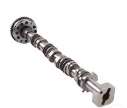 Arbre à cames d'échappement 06K109022R pour Skoda Audi A3 A4 A5 A6 A7 Q5 Q7 Volkswagen Atlas Beetle Cabrio 2012-2023