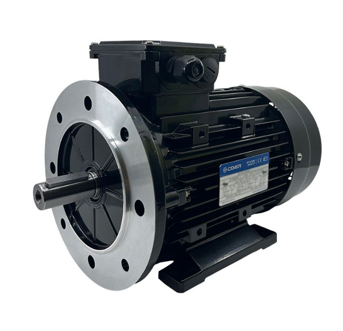 Moteur Électrique Triphasé 2,2kW/3CV, 750Tr/min C37.IE3.8MSE132SB3.24