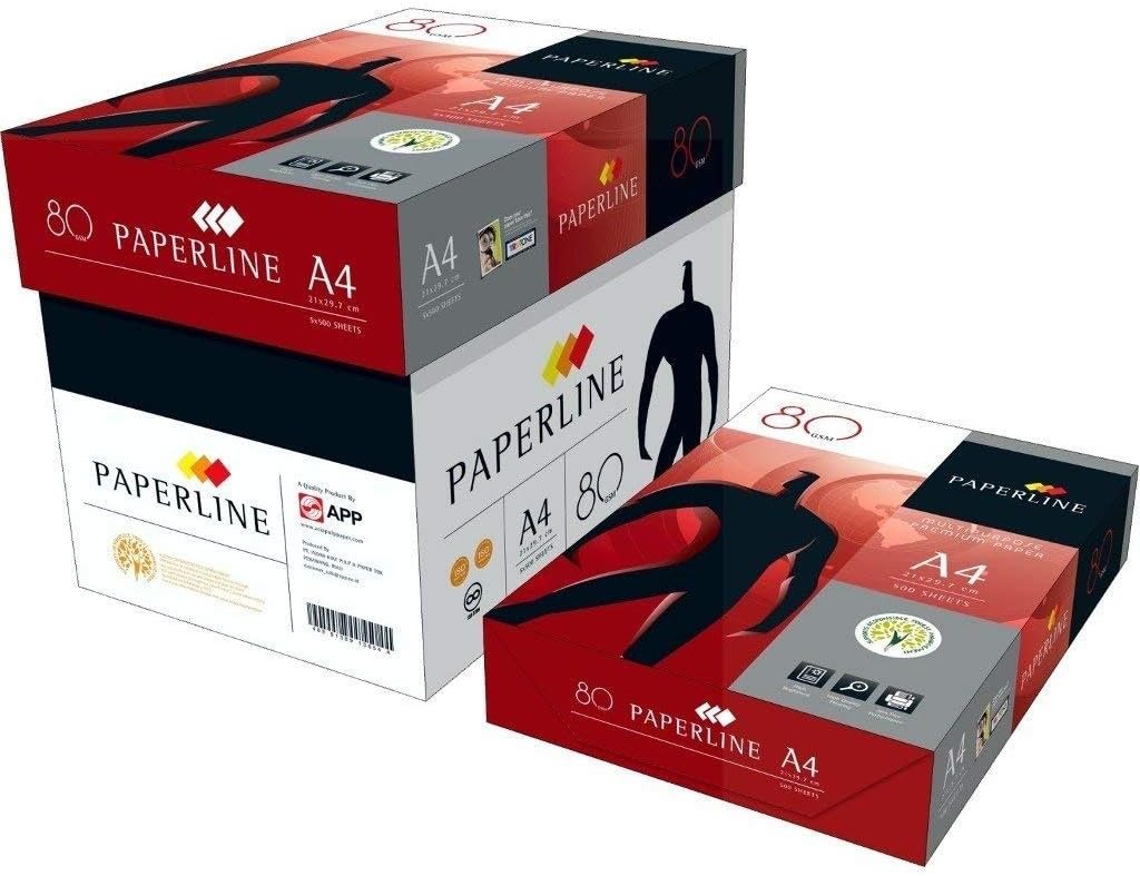 Ramette Papier A4 80g Blanc - Carton de 5 x 500 Feuilles